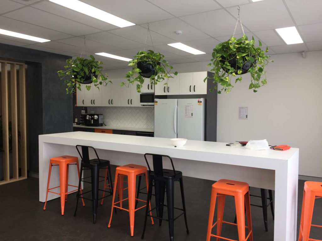 indoor plant hire sunshine coast - buy office plants